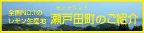全国NO.1のレモン生産地　瀬戸田町のご紹介